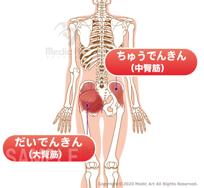 おうちで健康