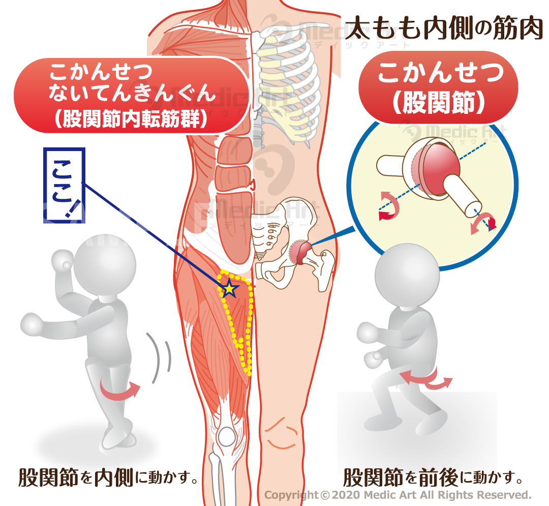 おうちで健康 ー ツボかるた の販売 ー